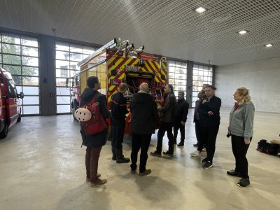 Image / illustration